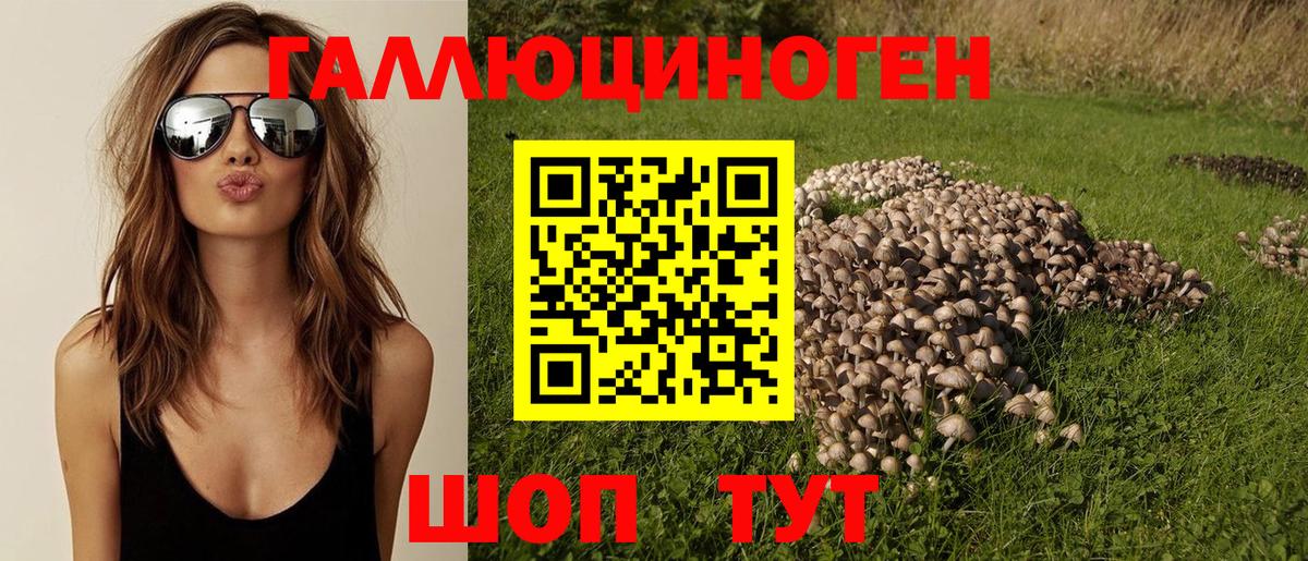 магазин    Псилоцибиновые грибы GOLDEN TEACHER  Узловая  Вход с VPN  Галлюциногенные грибы мицелий 